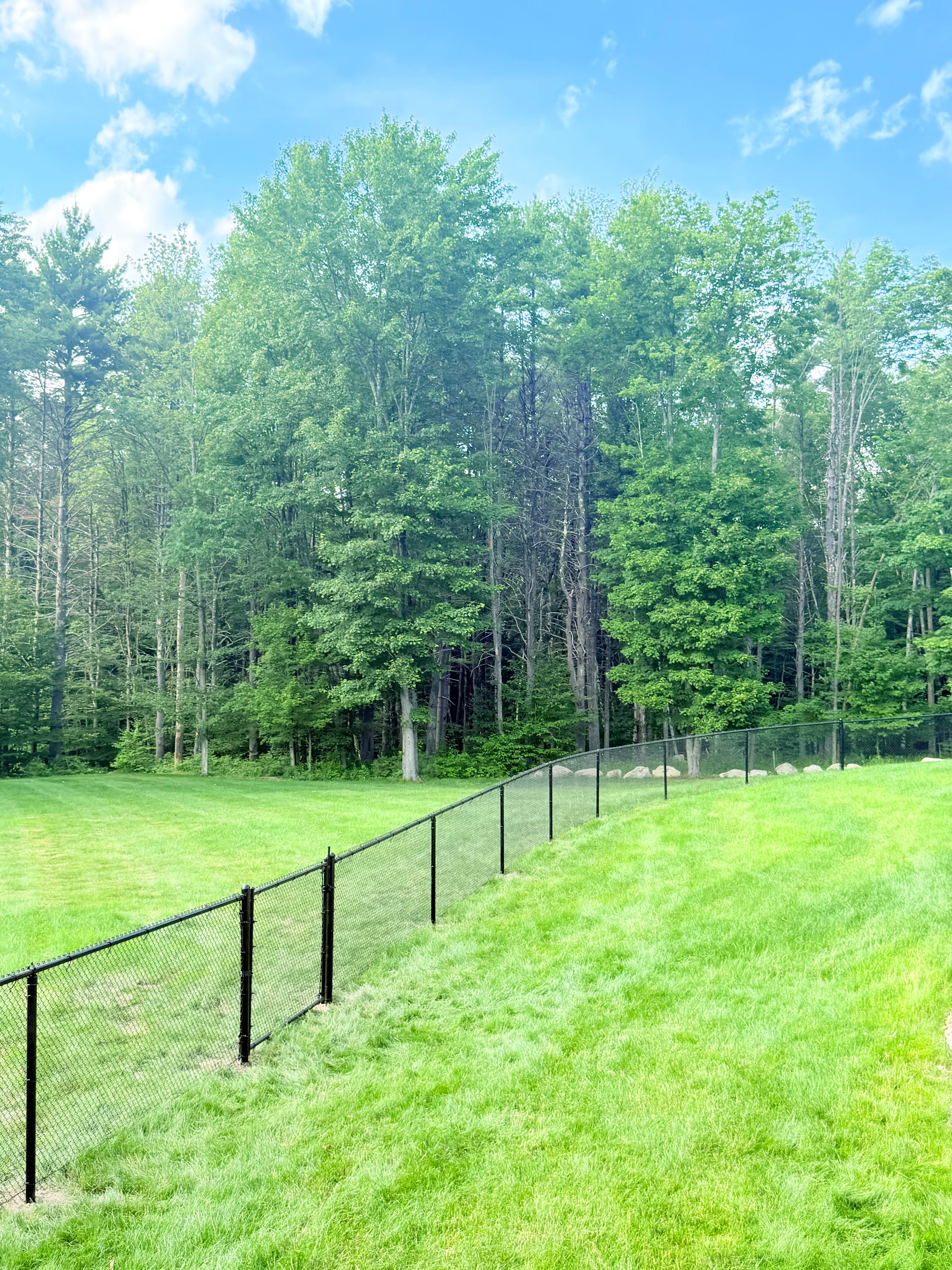 Chain link fence