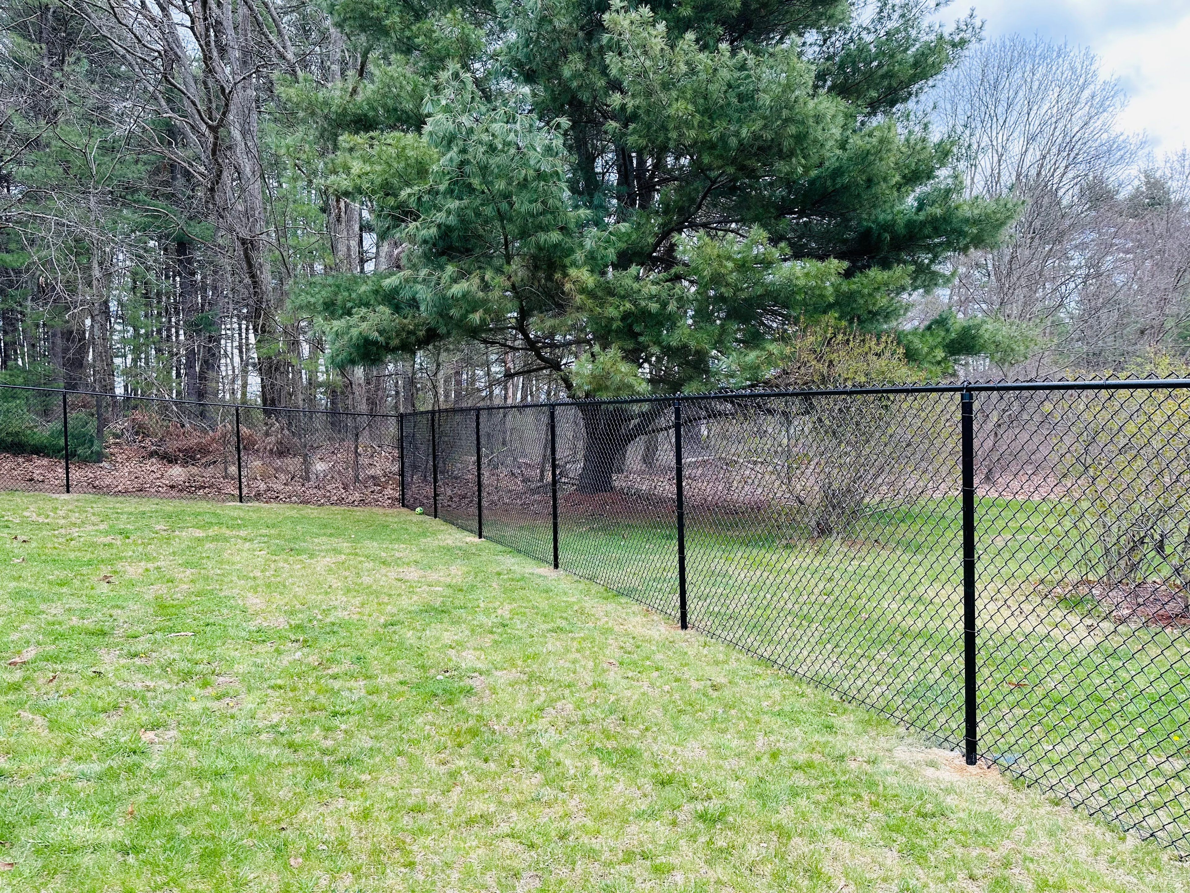 Black chain link fence along wooded property line by Ultra Fence LLC